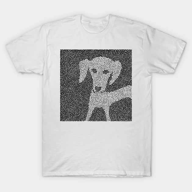 Dalma-Dach Dots T-Shirt by becky-titus